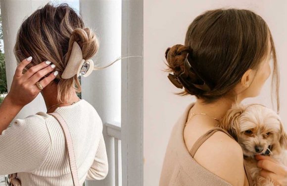 25 Easy Claw Clip Hairstyles For Any Hair Length