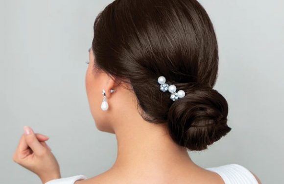 Give Your Hair and Elegant Style with Hair Styling French Pins