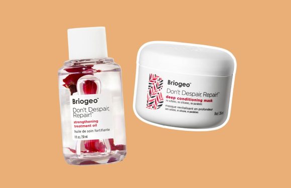 6 Best Briogeo Products for a Healthy Scalp and Luscious Hair: Hair Care for All Hair Types