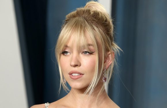 Sydney Sweeney Matched Her Eyeshadow to Her Metal Breastplate – See Photos