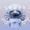 Cancer Horoscope December 2023: Read Your Monthly Predictions