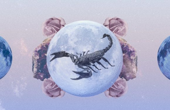 Scorpio Monthly Horoscope for June 2023: Read Your Sign’s Love and Career Predictions