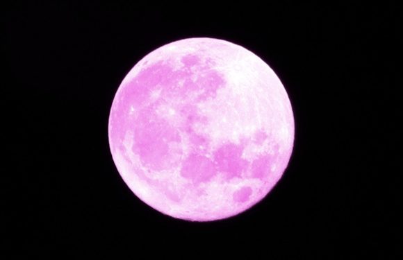 What the June 2023 Full Strawberry Moon Means for You, Astrologically