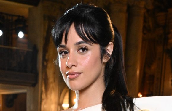 Camila Cabello Just Revived My Favorite ’90s Headband Trend — See Photo