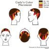 Pinwheel Hair Color Placement Diagrams