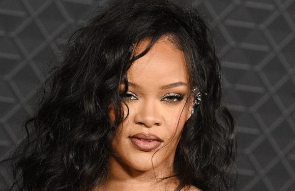 Rihanna Makes Purple Eye Shadow Up to the Brow Bone Look Extremely Casual — See the Photos